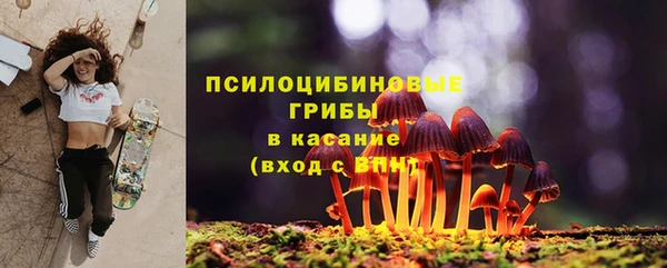 PSILOCYBIN Балабаново