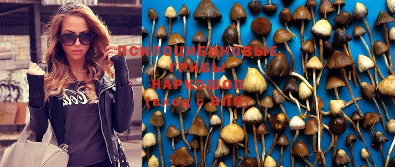 Галлюциногенные грибы MAGIC MUSHROOMS Богучар